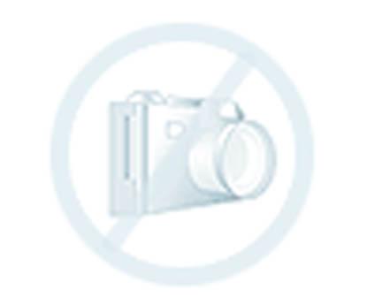 www.apolloadhesives.com